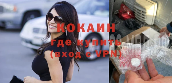 твердый Арсеньев