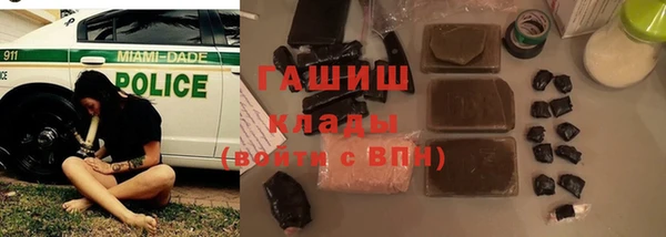твердый Арсеньев
