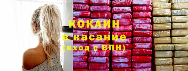 твердый Арсеньев