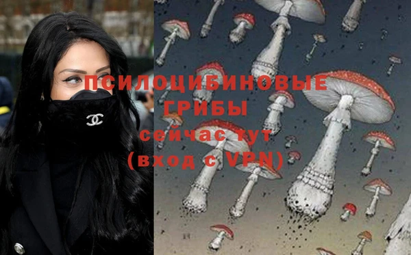 твердый Арсеньев