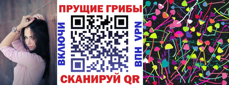 блэк спрут ссылка  Пыталово  Псилоцибиновые грибы ЛСД 